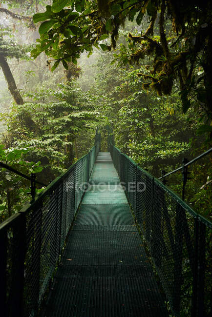 Ponte metálica estreita que atravessa a densa floresta tropical com árvores verdes na Costa Rica — Fotografia de Stock