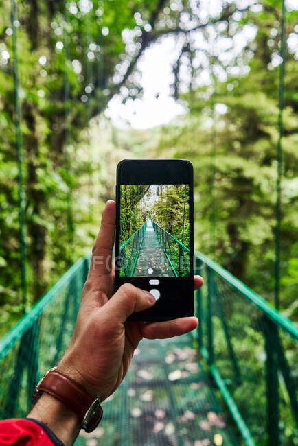 Viajante irreconhecível usando smartphone para tirar fotos de ponte passando pela selva verde durante a viagem na Costa Rica — Fotografia de Stock