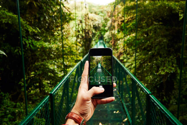 Voyageur méconnaissable utilisant un smartphone pour prendre une photo du pont traversant la jungle verte pendant le voyage au Costa Rica — Photo de stock