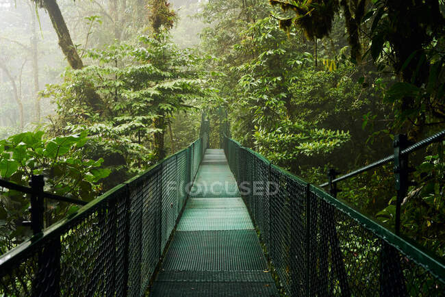Narrow metal bridge going through thick rainforest with green trees in Costa Rica — Stock Photo