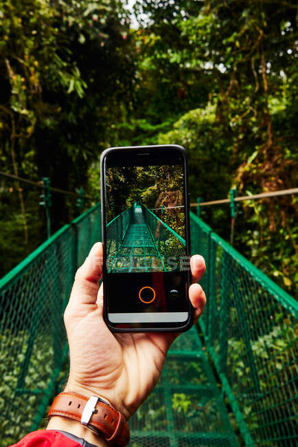 Unrecognizable traveler using smartphone to take picture of bridge going through green jungle during journey in Costa Rica — Stock Photo