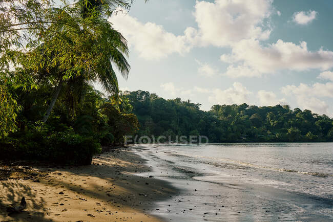 Litoral arenoso com floresta em segundo plano durante o dia de verão na Costa Rica — Fotografia de Stock