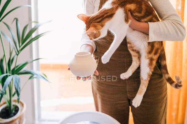 Crop female in casual clothes demonstrating small clay vase to white and brown spotted cat while standing against green houseplant and balcony in light room of modern apartment — Stock Photo
