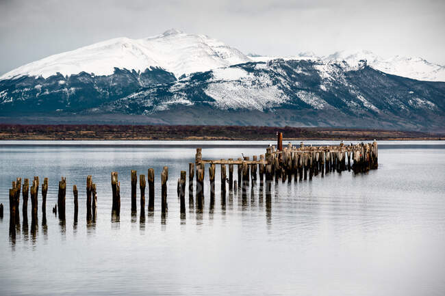Old wooden pillars of broken pier and breakwaters in tranquil water against snowy mountains under gray cloudy sky in winter — Stock Photo