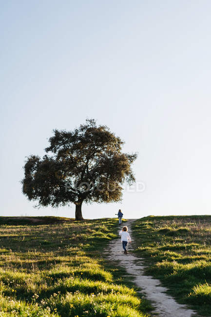 Обратный вид на неузнаваемых мальчика и девочку с гитарой укулеле, гуляющих по зеленому полю и наслаждающихся солнечным летним днем в сельской местности — стоковое фото