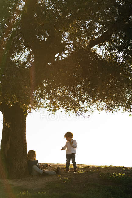 Vista laterale della bambina con ukulele seduta con fratello sotto un grande albero nel campo mentre riposano insieme e parlano durante la giornata estiva — Foto stock