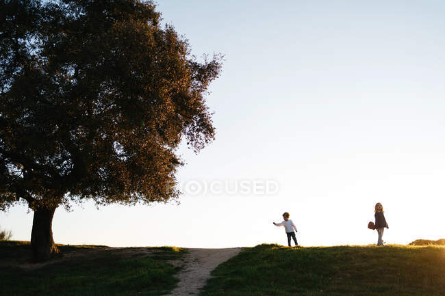 Vista lateral de niño y niña con guitarra ukelele caminando en el campo verde y disfrutando de un soleado día de verano en el campo - foto de stock