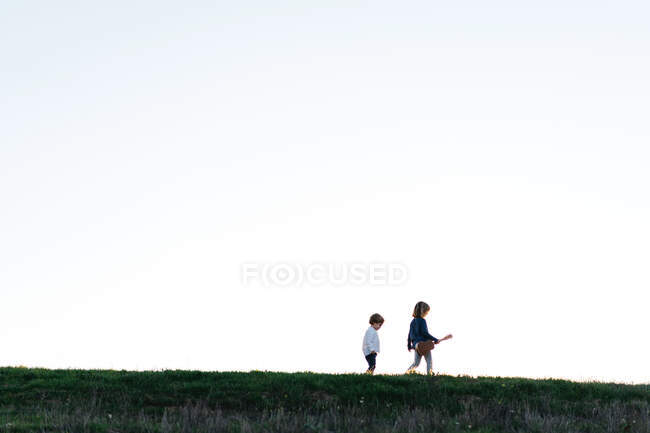 Знизу вид на маленьку дівчинку з гітарою, а потім молодший брат ходить у зеленому полі в літній вечір у сільській місцевості — стокове фото