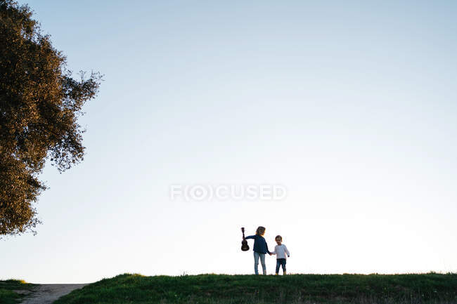 Vue de dessous de la petite fille avec guitare suivie d'un jeune frère marchant dans un champ verdoyant en soirée d'été à la campagne — Photo de stock