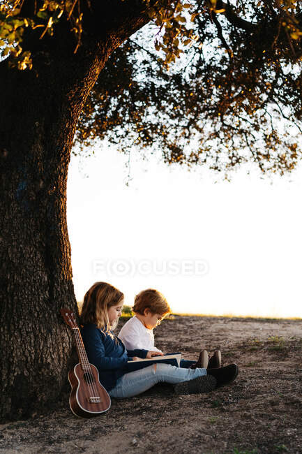 Вид сбоку восхитительной маленькой девочки, читающей интересную историю младшему брату, сидя вместе под деревом с гитарой в летний день в деревне — стоковое фото