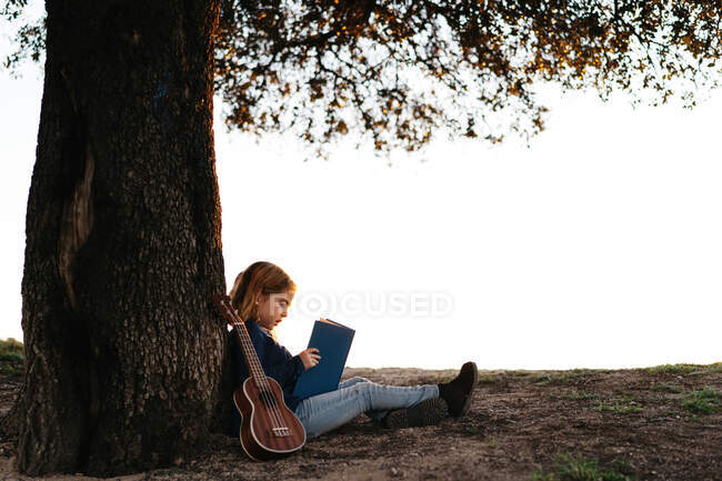Seitenansicht des ruhigen kleinen Mädchens in Freizeitkleidung, das Märchenbuch liest, während es an sonnigen Sommerabenden unter einem Baum im Feld sitzt — Stockfoto