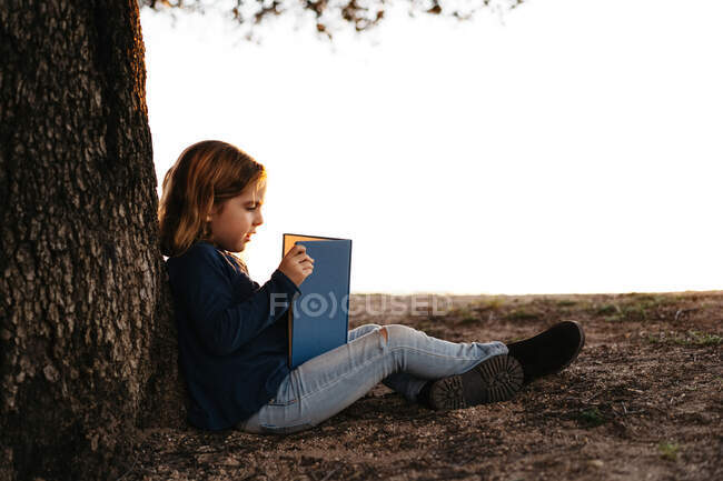 Vue latérale d'une petite fille calme en tenue décontractée lisant un livre de contes de fées assis sous un arbre dans un champ lors d'une soirée d'été ensoleillée — Photo de stock