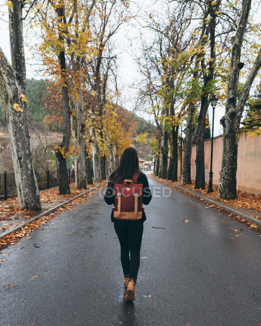 Vista posteriore della giovane donna attiva in abbigliamento casual con zaino che cammina su strada asfaltata vuota in autunno parco in giornata nuvolosa — Foto stock