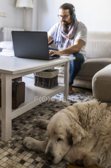 Uomo concentrato che lavora con il computer portatile in soggiorno — Foto stock