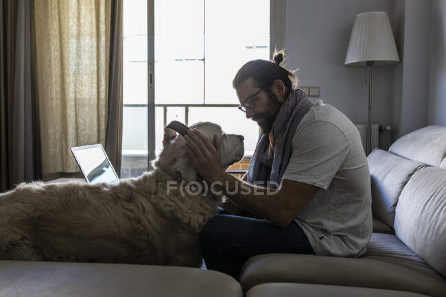 Случайный парень, надевающий наушники на собаку в гостиной — стоковое фото