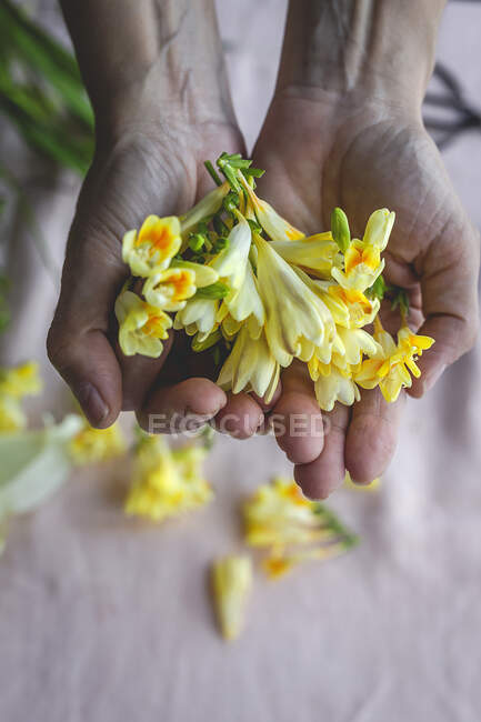 Unrecognizable professional female florist hands making bouquets of yellow flowers — Stock Photo