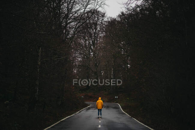 Вид ззаду анонімного чоловіка в жовтій куртці, що йде порожньою асфальтовою дорогою серед зеленого лісу — стокове фото