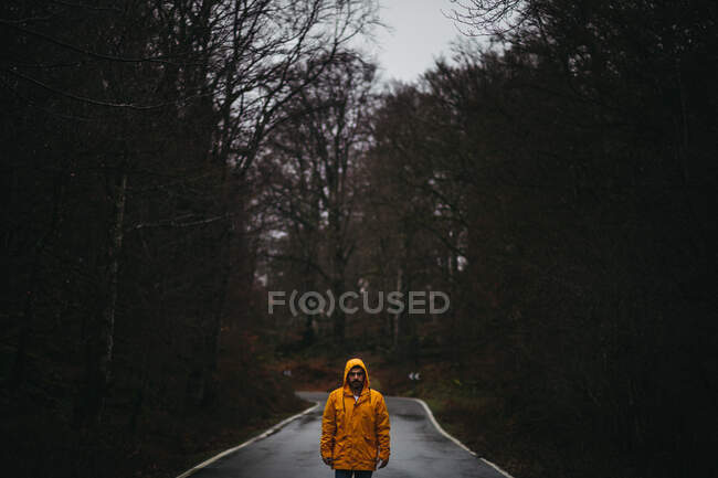 Чоловік в жовтій куртці дивиться на камеру, що стоїть на порожній асфальтовій дорозі серед зеленого лісу — стокове фото