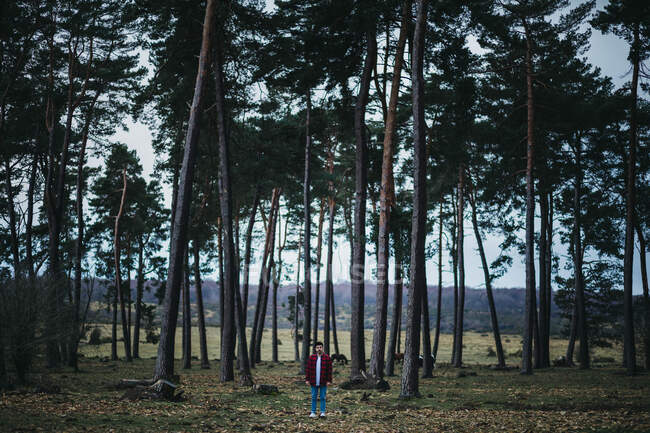 Uomo a figura intera in abbigliamento casual guardando la fotocamera in piedi tra gli alberi di conifere sempreverdi in autunno campagna — Foto stock