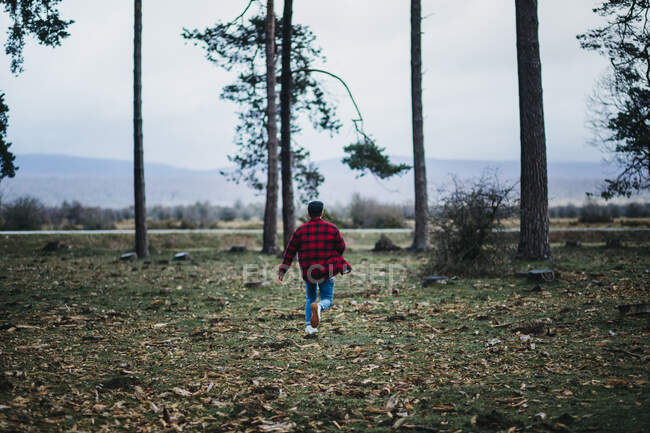 Полный назад вид на неузнаваемого человека в повседневной одежде ходить среди вечнозеленых хвойных деревьев в осенней сельской местности — стоковое фото