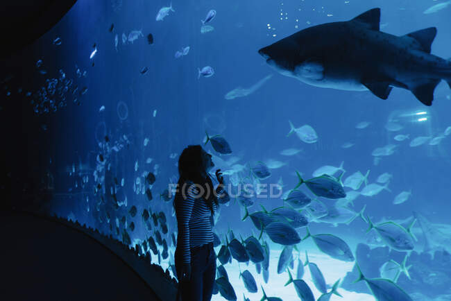 Vista lateral de la joven satisfecha en ropa casual sonriendo mientras mira a los peces grandes a través del vidrio en el oceanario moderno - foto de stock