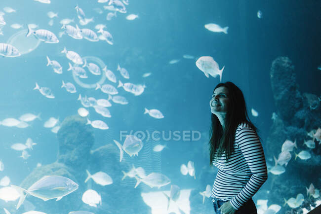 Seitenansicht der fröhlichen schwarzhaarigen jungen Frau in lässiger Kleidung lächelnd und aufblickend mit hellem modernen Aquarium auf dem Hintergrund — Stockfoto