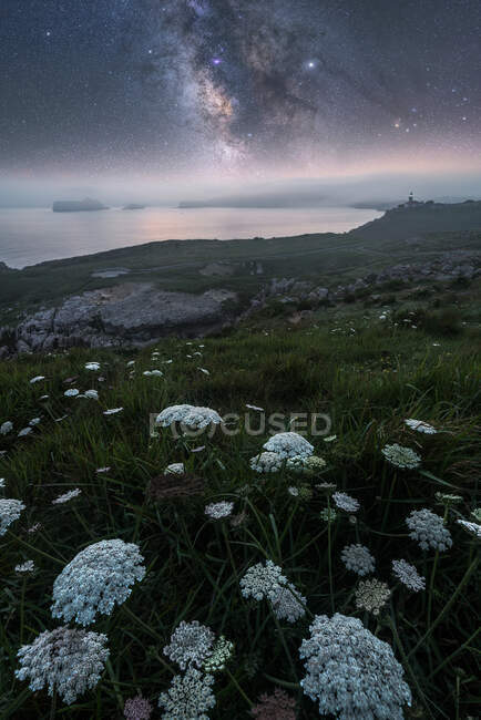 Weiße Feldblumen und grünes Gras auf einem Hügel mit ruhiger felsiger, leerer Küste und buntem, hellen Himmel mit Milchstraße auf dem Hintergrund — Stockfoto