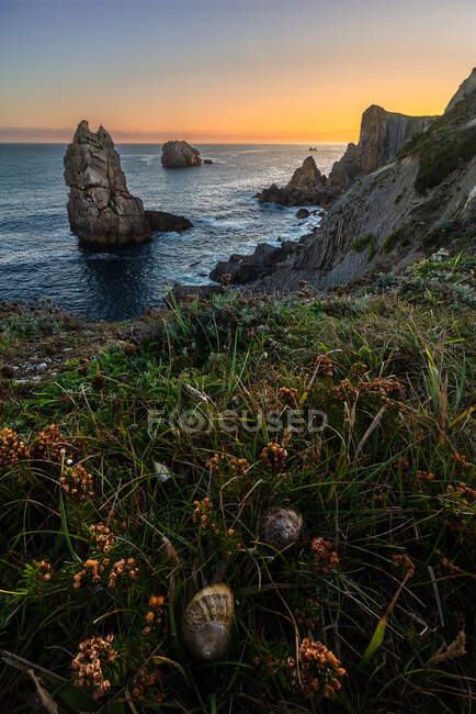 From above wonderful scenery of orange flowers blooming on rocky seashore of Costa Brava — Stock Photo