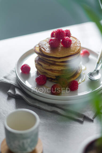 De arriba plato de deliciosos panqueques con frambuesas colocadas en la servilleta cerca de la taza vacía y maceta de la planta por la mañana - foto de stock