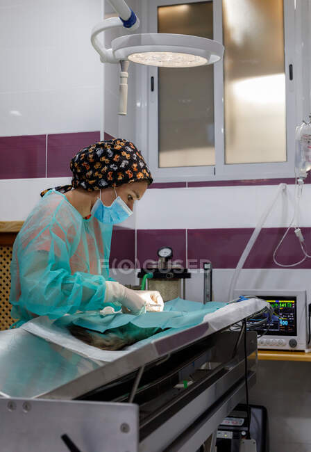 Vue latérale du vétérinaire féminin en uniforme et des gants utilisant des outils et effectuant une chirurgie sur l'animal dans une clinique moderne — Photo de stock