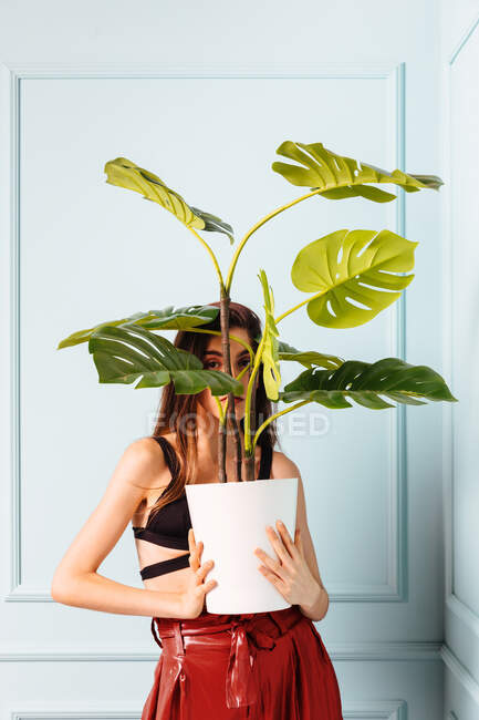 Femme élégante avec plante en pot en studio — Photo de stock
