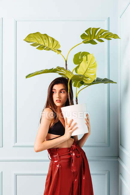 Modelo femenino joven en traje de moda llevando maceta con planta verde y mirando hacia otro lado mientras está de pie en esquina contra la pared ornamental - foto de stock