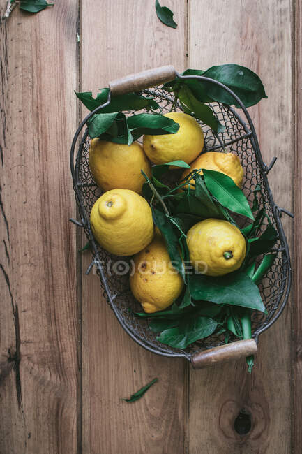 Vista dall'alto di colorati limoni gialli freschi e foglie verdi in cestino di metallo su tavolo di legno — Foto stock