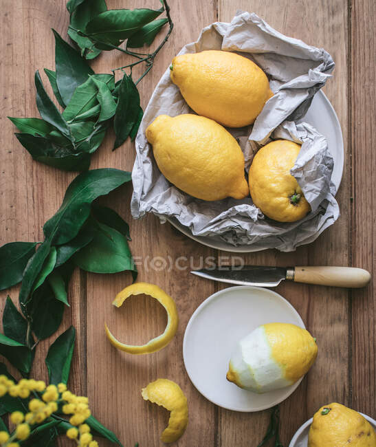 Вид зверху очищені і свіжі лимони на тарілках на дерев'яному столі з зеленим листям і жовтими квітами — стокове фото