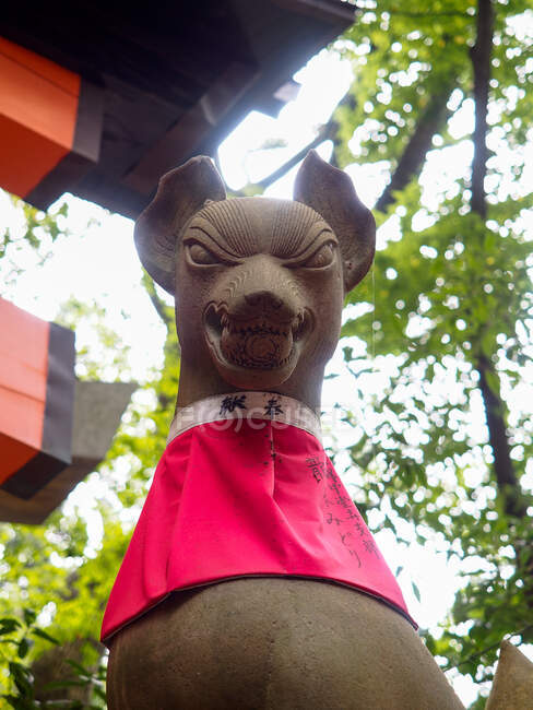 Von unten traditionelle Steinskulptur des Schutzhundes mit rotem Tuch im japanischen Schrein mit grünem Baum im Hintergrund — Stockfoto