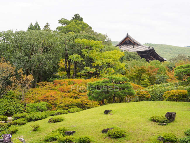 Alberi autunnali vicino stagno nel giardino orientale — Foto stock