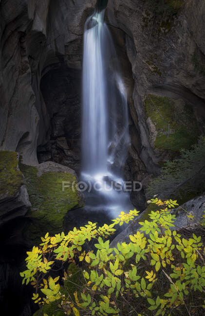 Malerische Landschaft mit Wasserfall, der in eine Felsschlucht fällt, die mit grünem Moos und Blattpflanzen in der kanadischen Landschaft bedeckt ist — Stockfoto