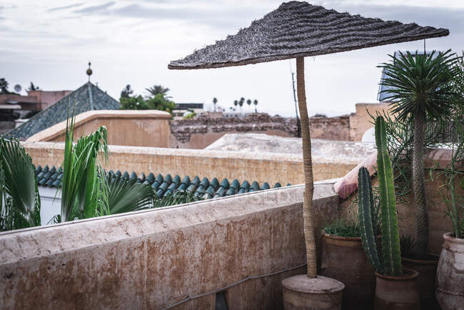 Керамические горшки с зелеными кактусами и выветриваемым пляжным соломенным зонтиком, расположенные на старой террасе против облачного неба — стоковое фото