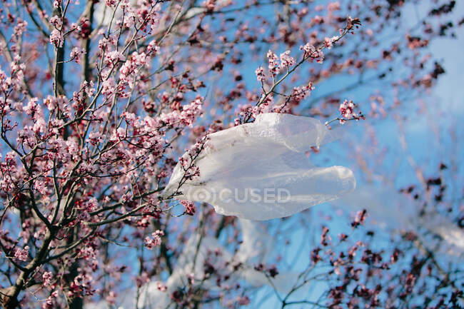 Снизу прозрачный пластиковый материал, машущий ветром, висящий на ветвях против безоблачного голубого неба, загрязняющего окружающую среду — стоковое фото