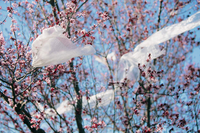 De baixo de material plástico transparente acenando no vento enquanto pendurado em ramos contra céu azul sem nuvens poluindo o meio ambiente — Fotografia de Stock