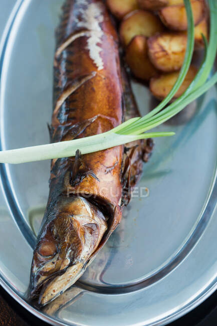 Сверху восхитительная жареная рыба и картофель со свежим чешуйкой и сливочным соусом помещены на металлическую пластину в ресторане — стоковое фото