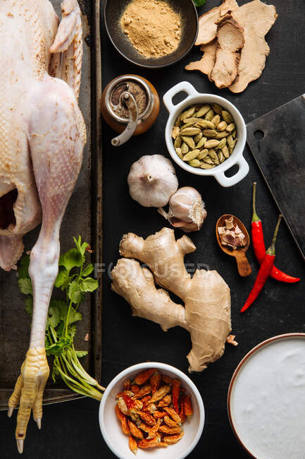 Gewürze und Huhn für die Curry-Zubereitung — Stockfoto