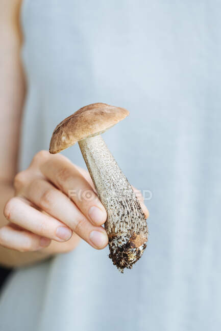 Mulher de colheita em casual desgaste branco segurando recém-colhido cogumelo porcini com solo — Fotografia de Stock