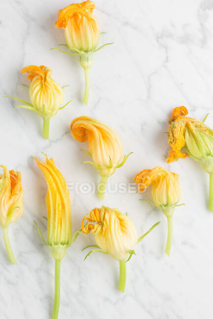 Vue de dessus des fleurs fraîches de courgettes disposées sur une table en marbre dans la cuisine — Photo de stock