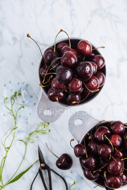 Vista superior de macetas con cerezas rojas dulces maduras en la mesa de mármol con rama verde - foto de stock