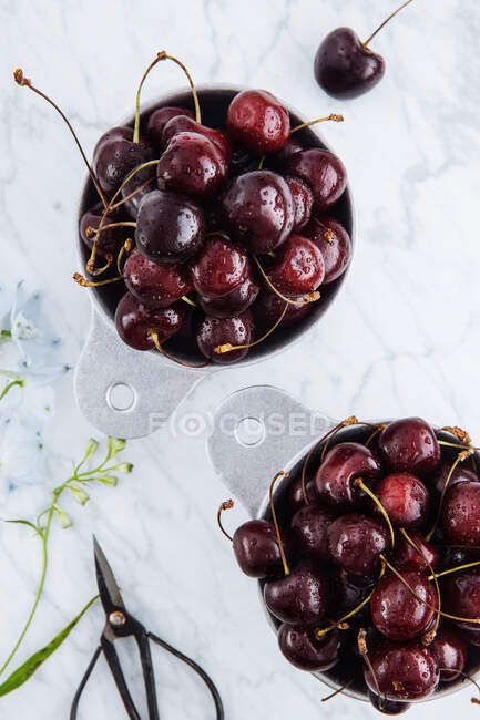 Vista superior de macetas con cerezas rojas dulces maduras en la mesa de mármol con rama verde - foto de stock