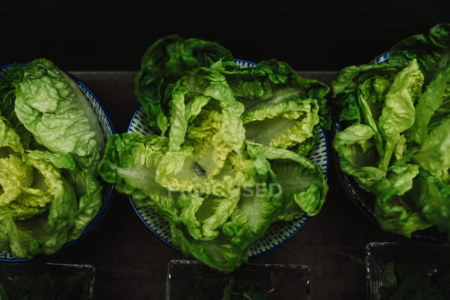 Vista superior de cuencos con hojas de lechuga verde colocados sobre la mesa en la escuela de cocina de Navarra, España - foto de stock