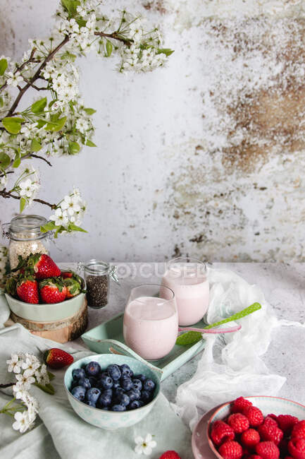 De dessus composition de verres avec délicieux smoothie aux baies saines servi sur la table avec diverses baies fraîches et fleurs sur fond blanc minable — Photo de stock