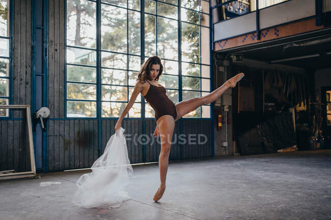 Tänzerin blickt in schwarzem Body und Spitzenschuhen in die Kamera und führt während der Probe im Studio Tanz mit transparentem, leichtem Tüll auf — Stockfoto