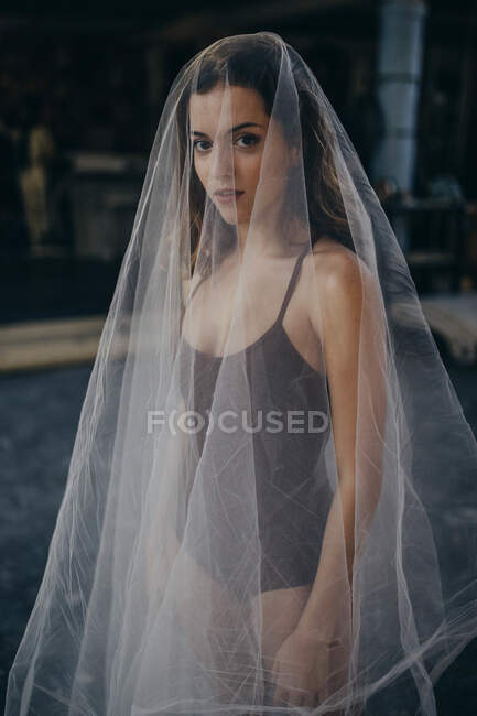 Молодая женщина в черном нижнем белье, покрытая прозрачной вуалью, смотрит в камеру, стоя в комнате с размытым фоном — стоковое фото